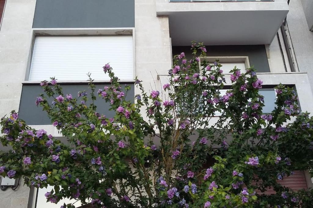 Coqueto Alojamiento Cercano A Las Termas A Ourense Zewnętrze zdjęcie